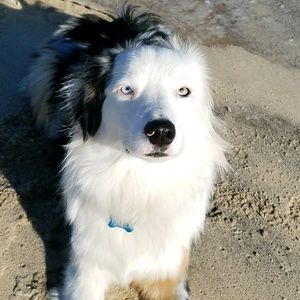 Meet your Posher, Ella